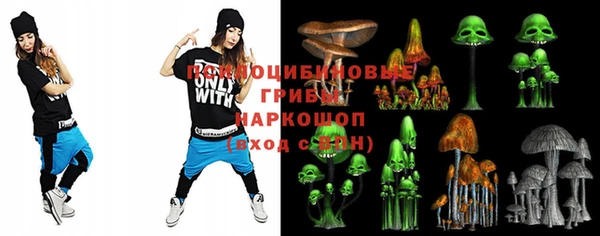 соль ск Дмитриев