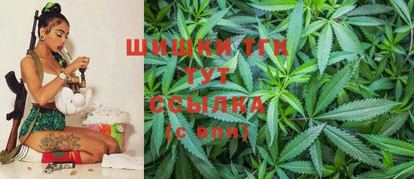 соль ск Дмитриев