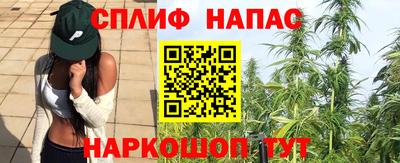 крисы Краснодар