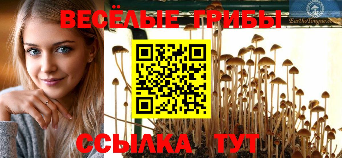Галлюциногенные грибы Magic Shrooms  Вход с VPN  Кировск 